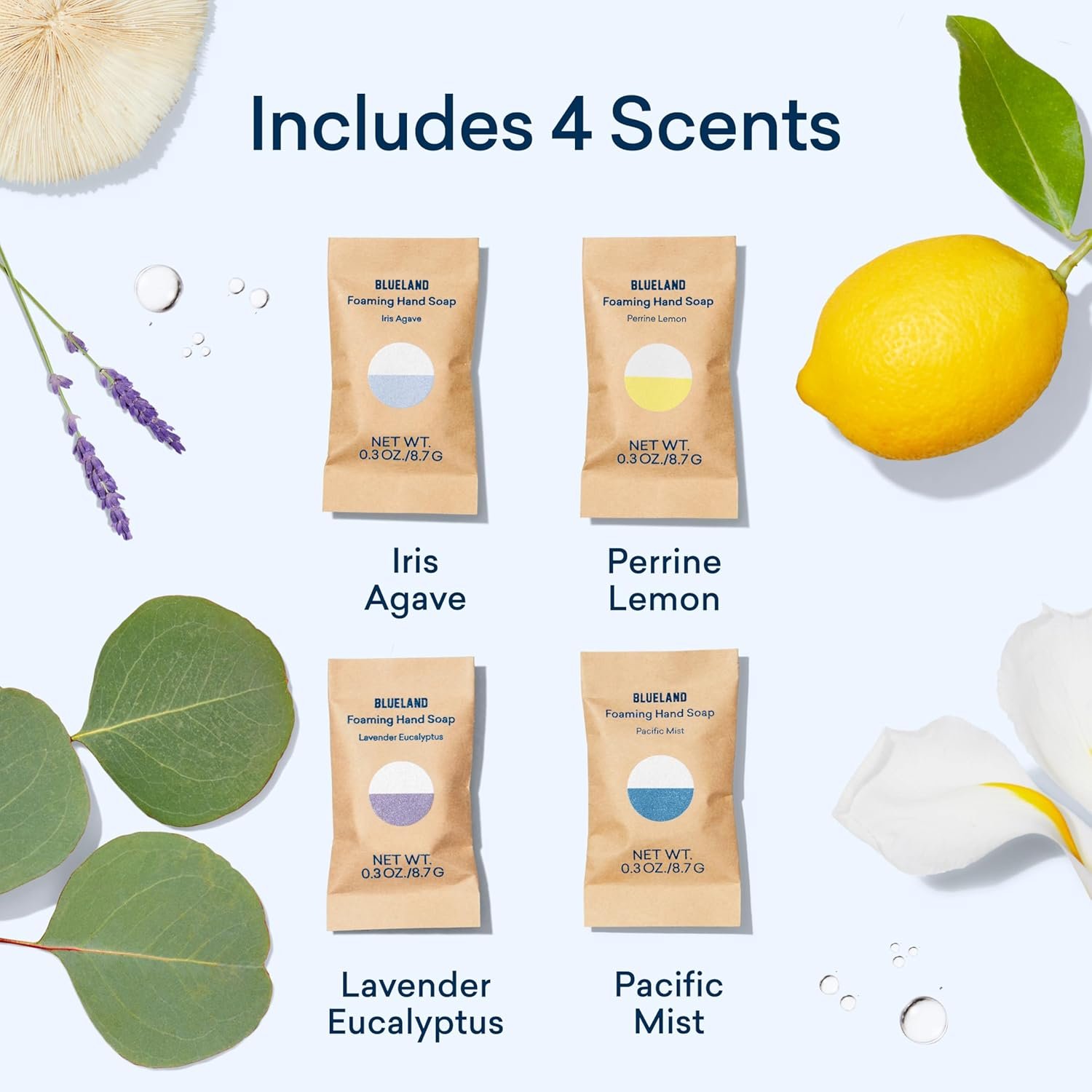 Blueland foaming hand soap tablet refills - box and tablet detail